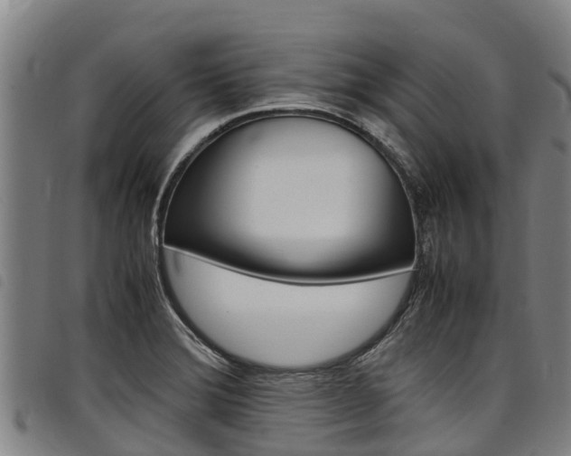 X0000098121372200804040814