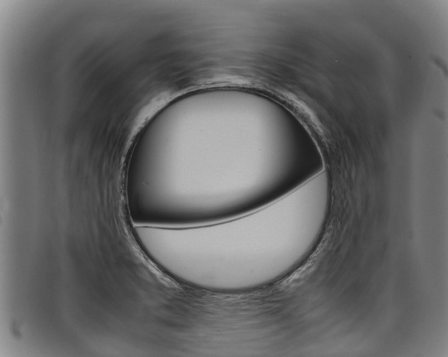 X0000098121373200804040814