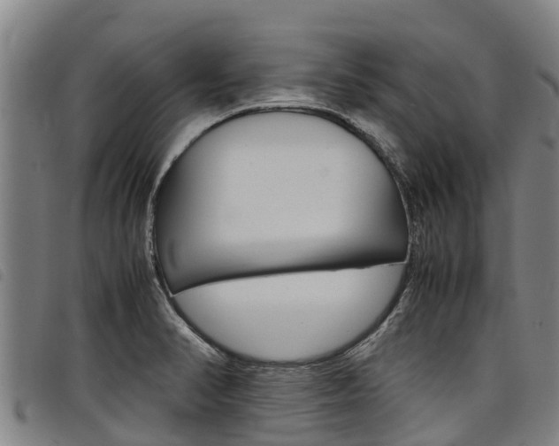 X0000098121374200804040814