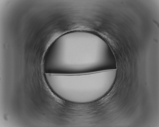 X0000098121375200804040814