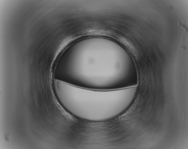 X0000098121376200804040814