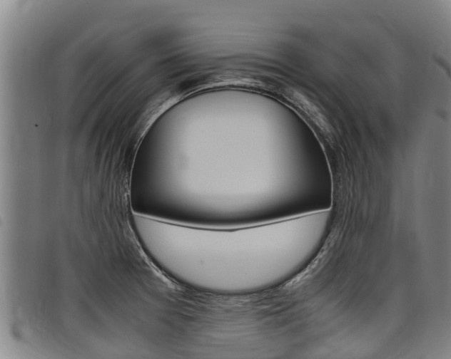 X0000098121377200804040814
