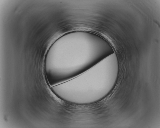 X0000098121379200804040814