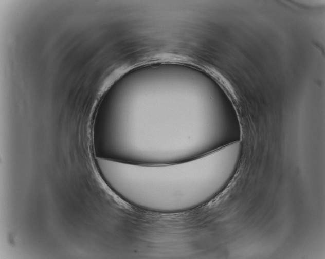X0000098121381200804040814