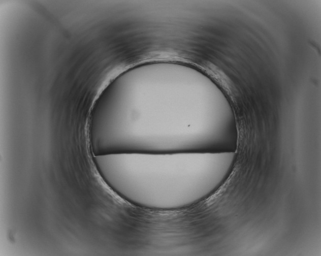 X0000098121382200804040814