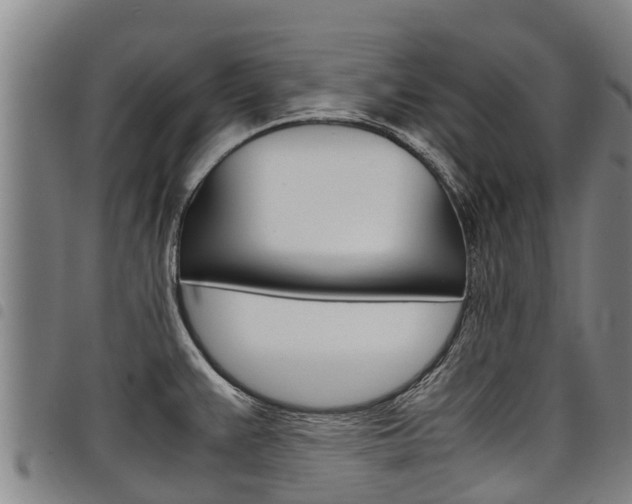 X0000098121383200804040814