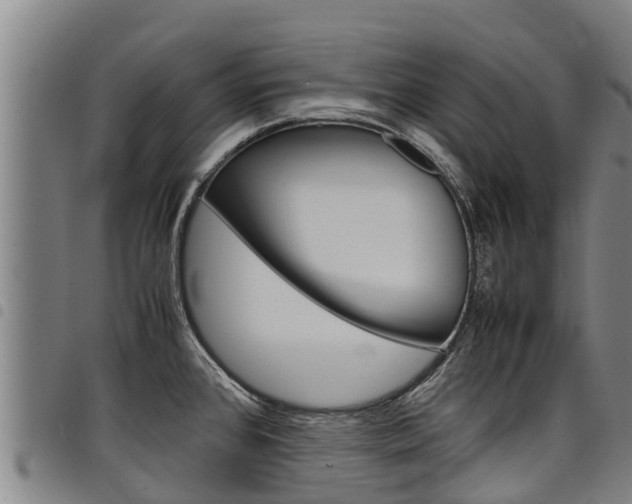 X0000098121384200804040814
