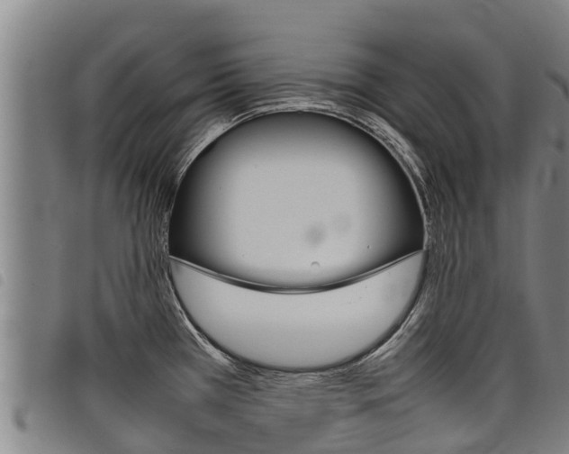 X0000098121385200804040814