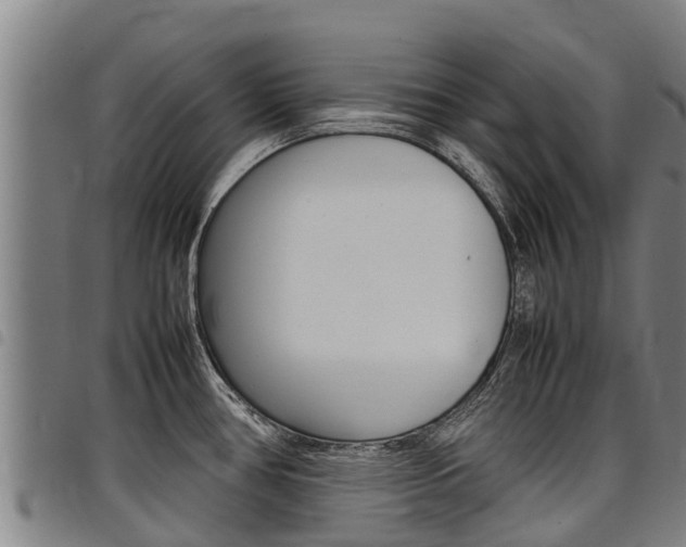 X0000098121386200804040814