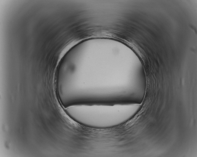 X0000098121387200804040814