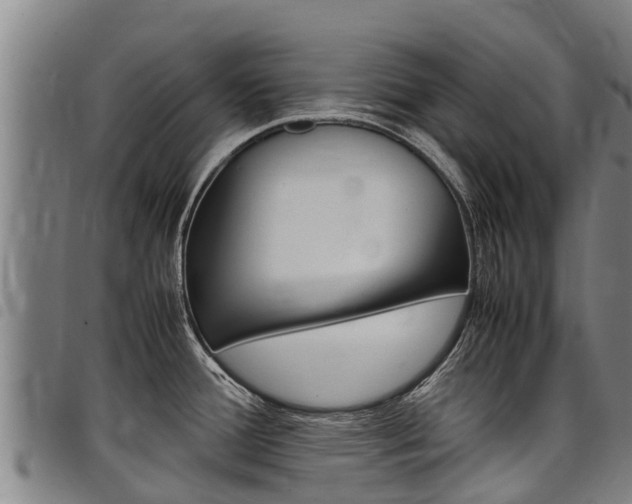 X0000098121388200804040814
