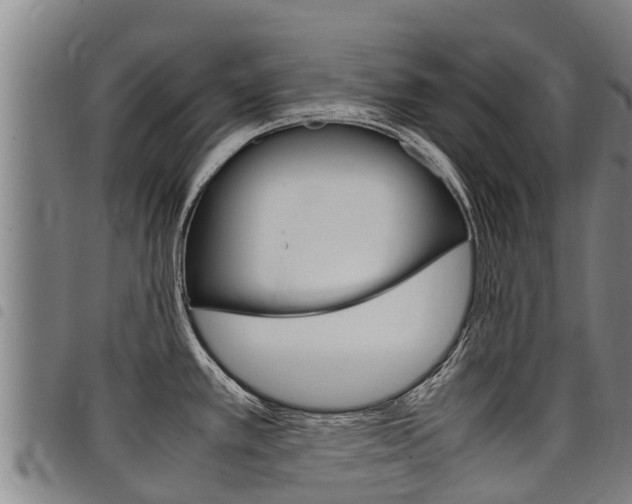 X0000098121389200804040814