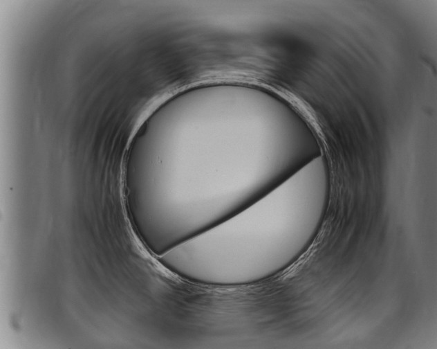 X0000098121390200804040814