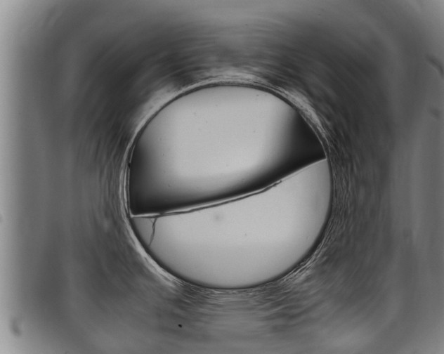 X0000098121391200804040814