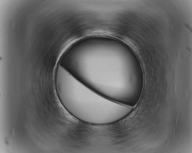 X0000098121392200804040814
