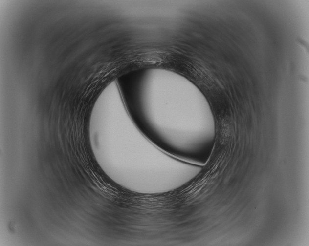 X0000098121394200804040813