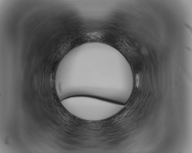 X0000098121395200804040813