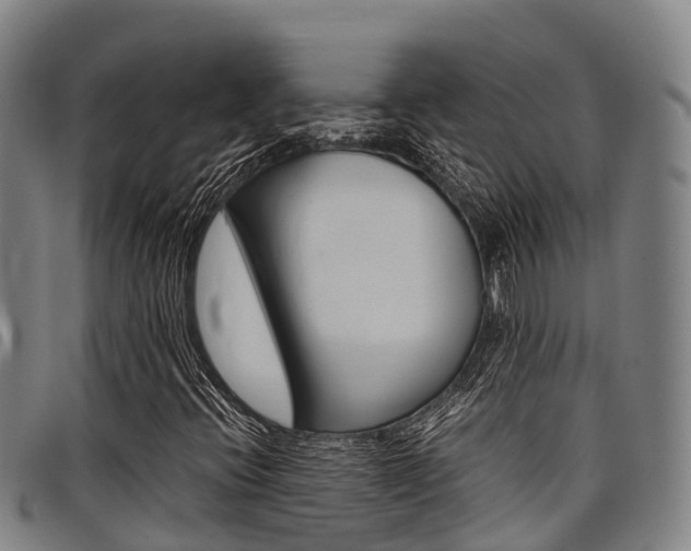 X0000098121396200804040813