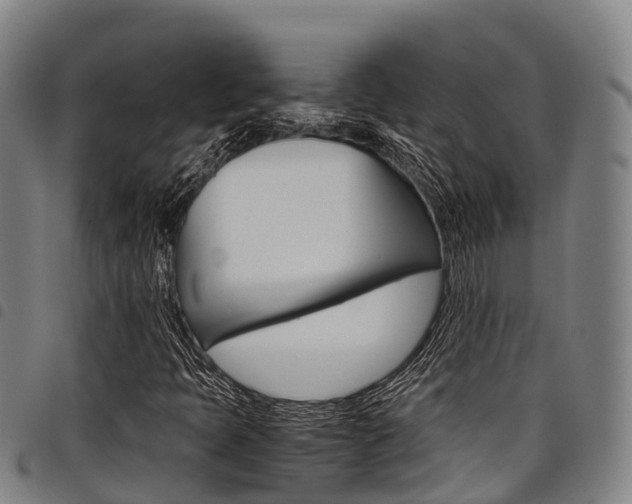 X0000098121397200804040813