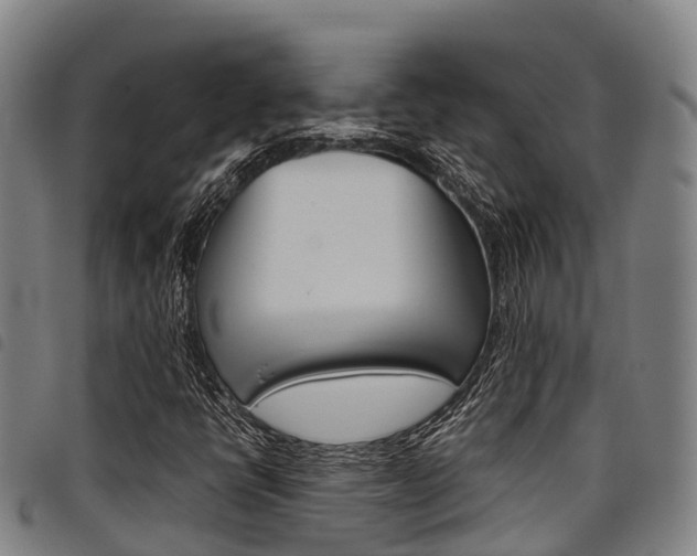 X0000098121398200804040813