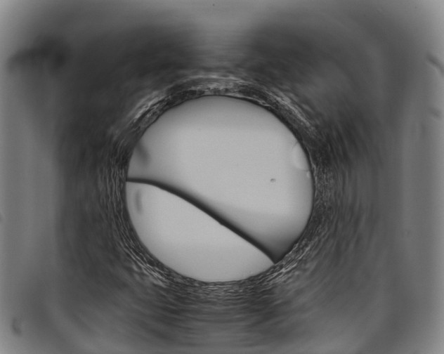 X0000098121399200804040813