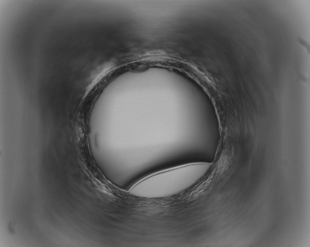 X0000098121400200804040813