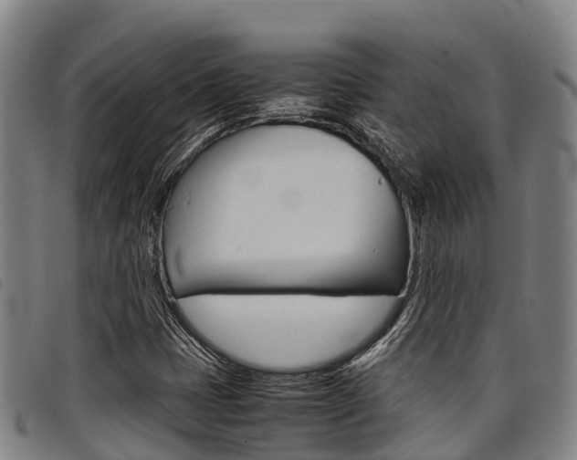 X0000098121401200804040813