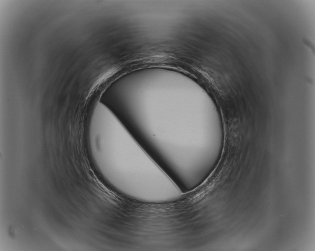 X0000098121402200804040813
