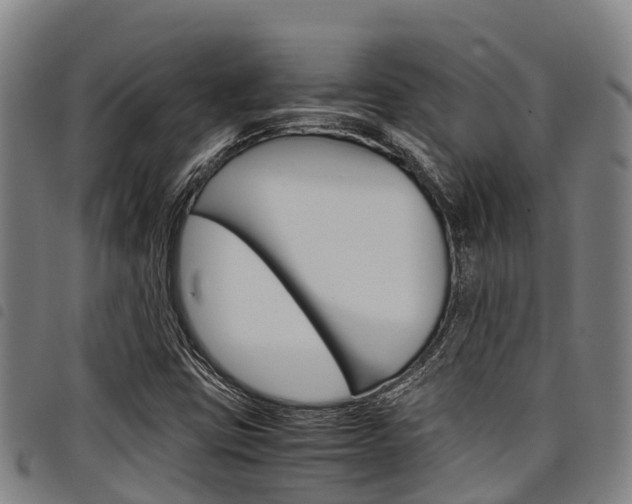X0000098121403200804040813