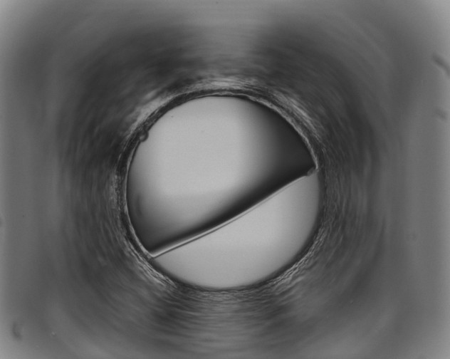 X0000098121404200804040813