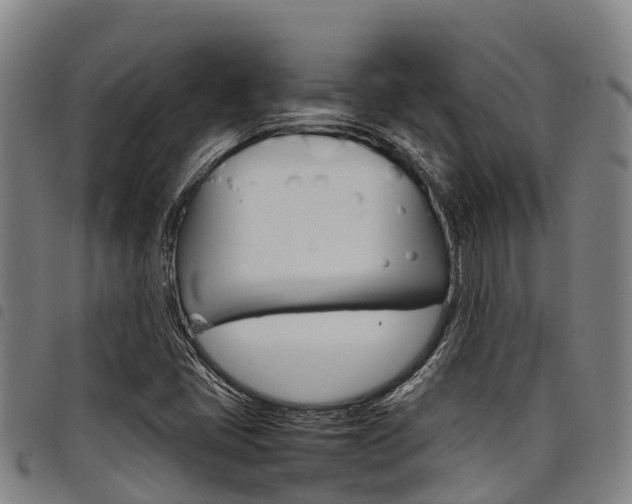X0000098121405200804040813