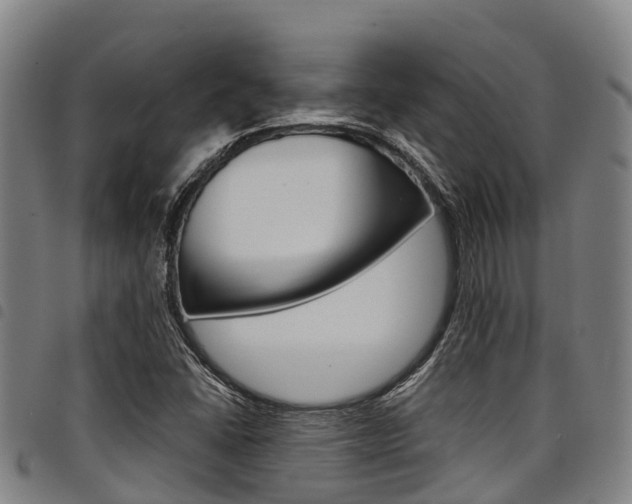 X0000098121406200804040813