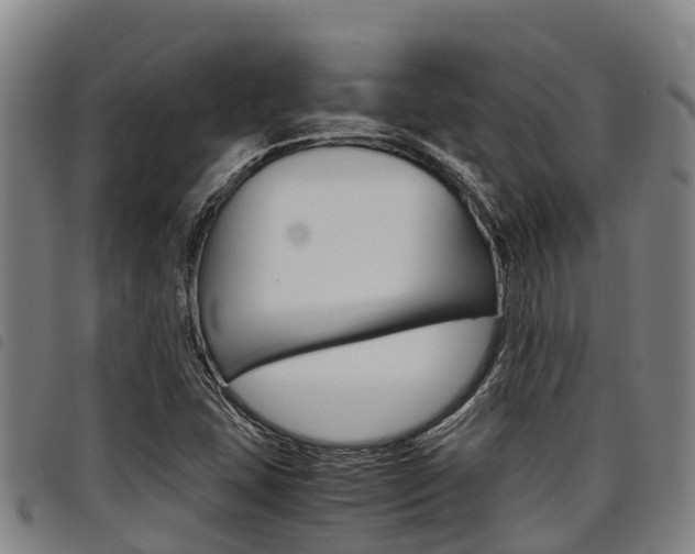 X0000098121407200804040813