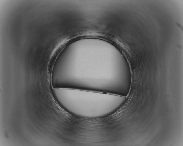 X0000098121408200804040813
