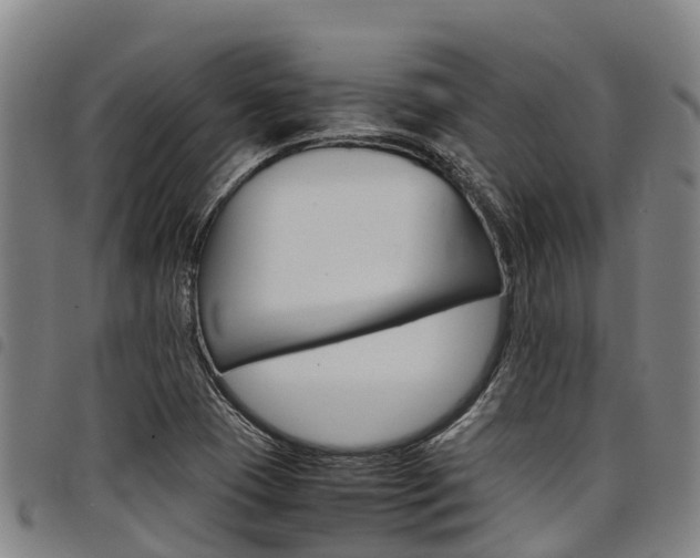 X0000098121409200804040813