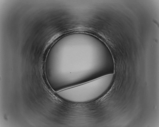 X0000098121410200804040813