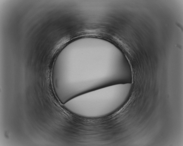X0000098121411200804040813