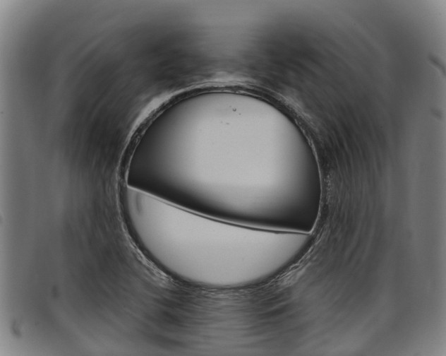 X0000098121412200804040813