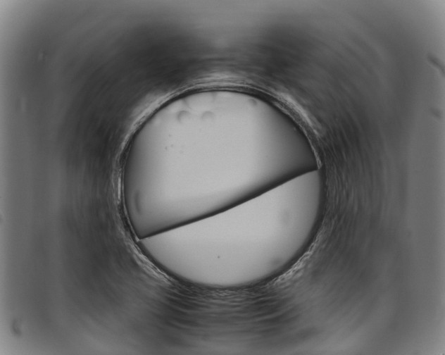 X0000098121413200804040813