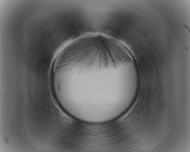 X0000098121414200804040813
