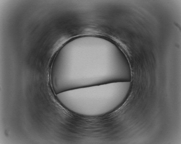 X0000098121415200804040813