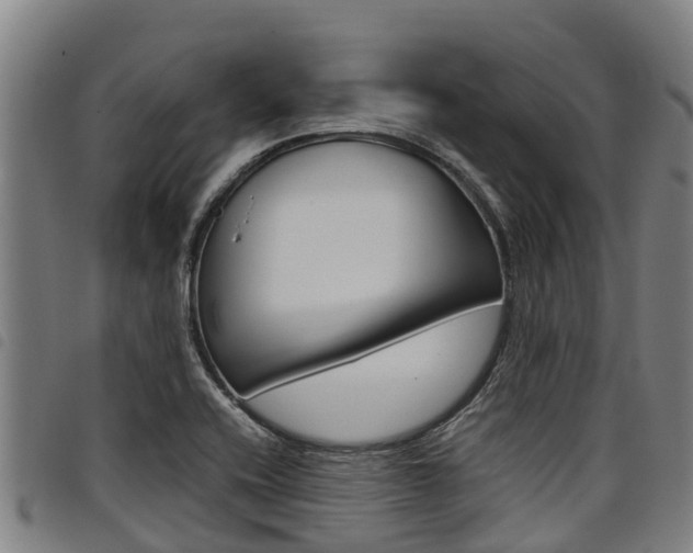 X0000098121416200804040813