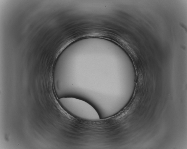 X0000098121417200804040813