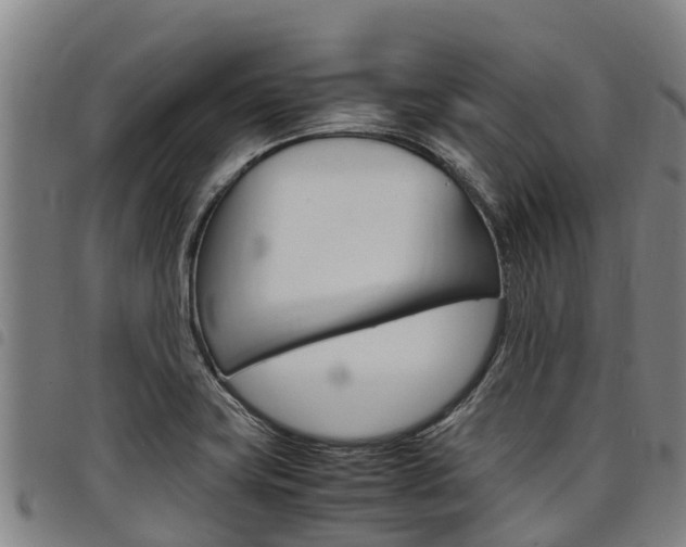 X0000098121419200804040813