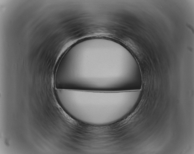X0000098121420200804040813