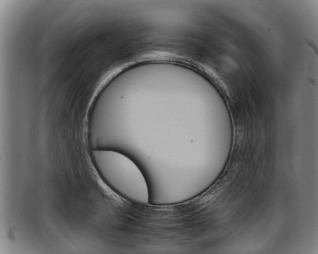 X0000098121421200804040813