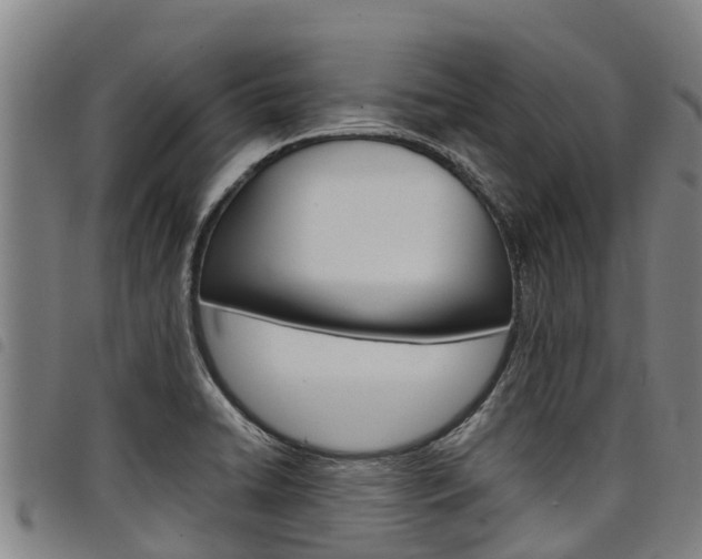 X0000098121422200804040813