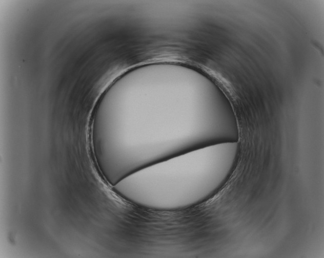 X0000098121423200804040813