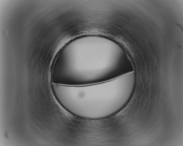 X0000098121424200804040813
