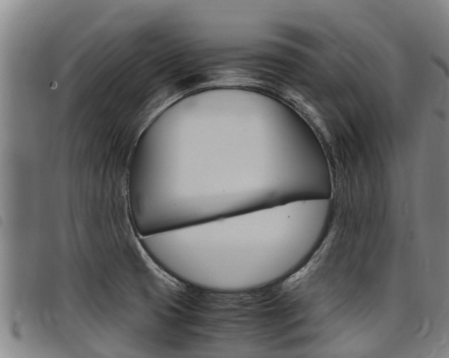 X0000098121425200804040813